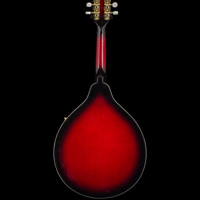 Washburn M1SD A-Style Mandolin 2017 Transparent Red w/ Hard Case image 3