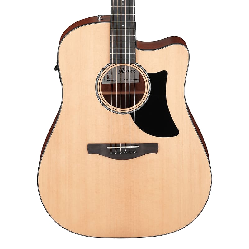 Ibanez AAD50CELG Advanced Acoustic Series Acoustic Electric image 1