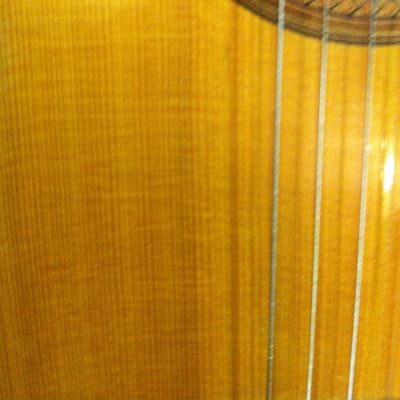 Eugene Clark Classical 1974 Brazilian Rosewood and Spruce image 4