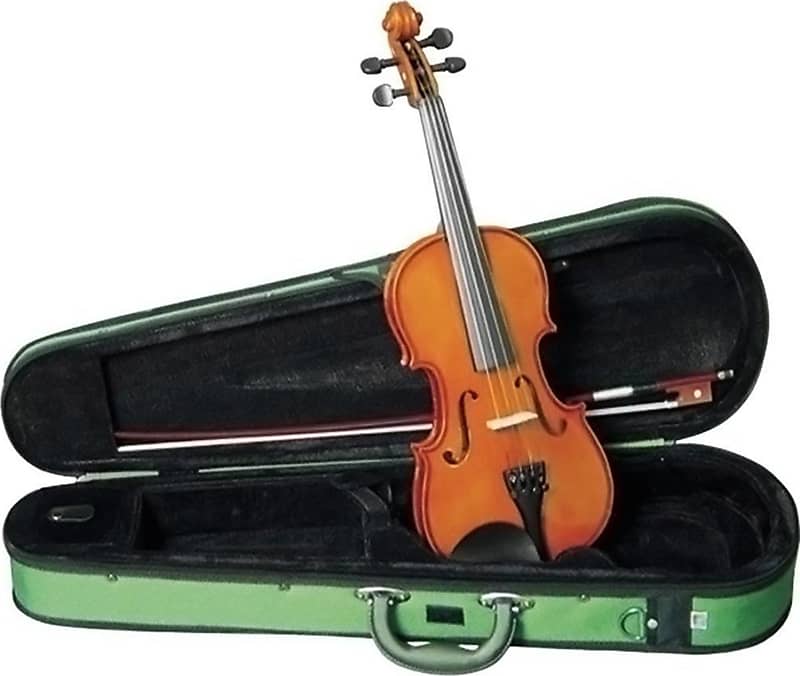 Musino VN2044 Violin Outfit 4/4 Size | Reverb