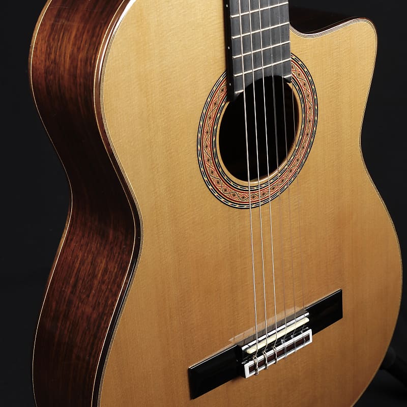 Guild GN-5NAT Classical Nylon Acoustic / Electric Solid Wood Cedar/Rosewood Guitar w/ OHSC image 1