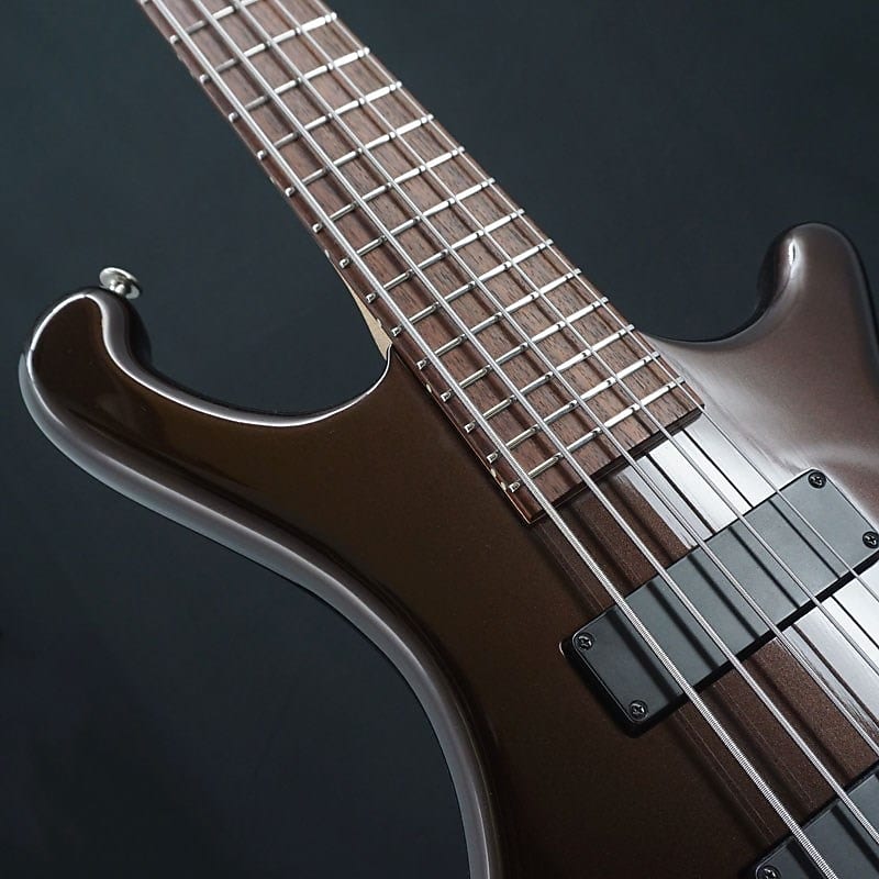ベース FREEDOM CASTOM Dulake. 5st Freedom Custom Guitar Research [USED] Dulake | Reverb The