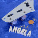 Angela Jaguar Replacement Chrome Rhythm Circuit Assembly With Pots, Switch And Mo' Bargain!