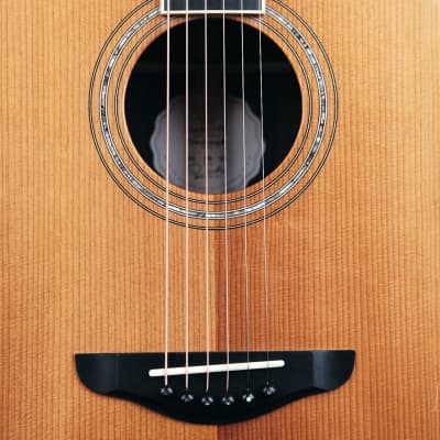Josh Williams Acoustic Guitar -  Dreadnought Signature Series - Torrefied Adirondack Spruce Top image 4