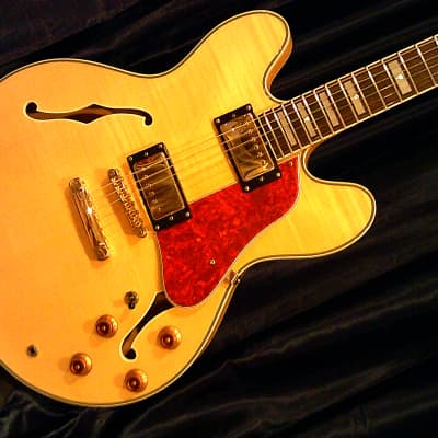 KARERA 335-Style Semi-Hollow Body Electric Guitar *BEAUTIFUL with WARM-TONE & *FREE Hard-Shell Case!!! image 9
