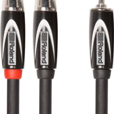 Roland RCC-10-352R Black Series Interconnect Cable with 1/8 in. TRS to Dual RCA Connectors - 10 ft.