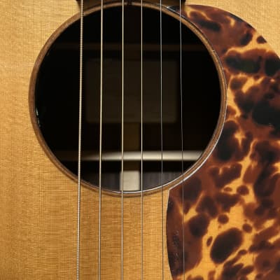 Baden D-Style Rosewood Acoustic Electric Acoustic image 15