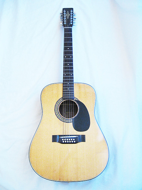 Alvarez 12 string model 5021 hot sale