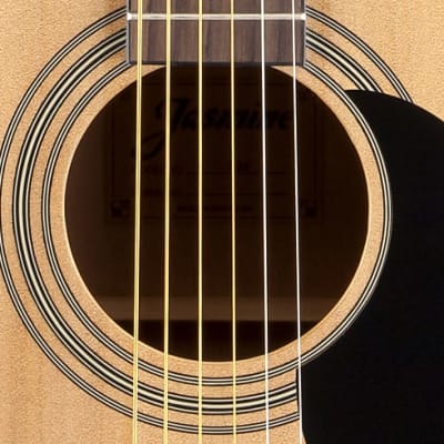Jasmine S35 Dreadnought Spruce Top Agathis Back & Sides Nato Neck 6-String Acoustic Guitar - (B-St) image 4