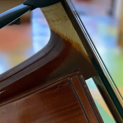 Benedict Puglisi 3/4 Double Bass image 5