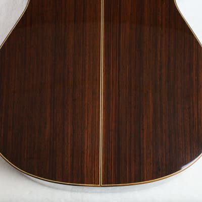 RARE Lucio Nuñez 10-String Classical Harp Guitar w/Cutaway, Arm Rest, Sound Port, Cedar/Cocobolo, TKL Hardshell Case image 14