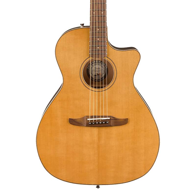 Fender Limited Edition Newporter Classic image 2