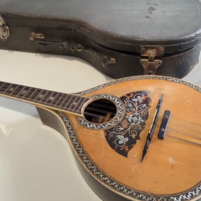 Bruno Klemm. Mandolina. Year 1890 Mandolin. image 7