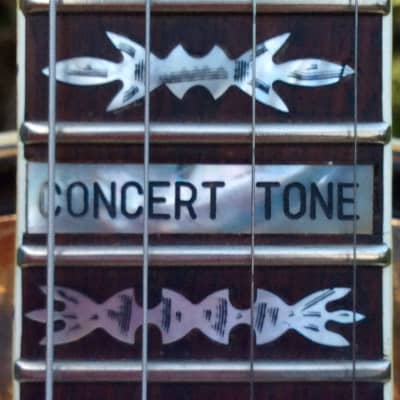 Fender Concert Tone Tenor Banjo image 12