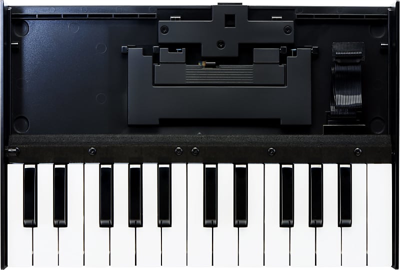 Roland K-25M Portable Keyboard Unit For Roland Boutique Modules, K-25M image 1