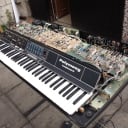 Moog Polymoog Keyboard 280a 1979 Black with stand and sustain pedal + free amplifier.
