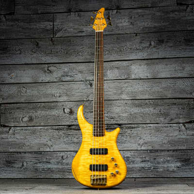 Pedulla Thunderbolt 5-String image 4