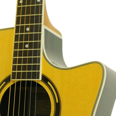 「UG-Kai出品」 Guitar Sound CD-ROM Ernie Williamson Music - Fender CD-60 Dreadnought V3 w/Case