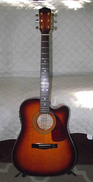 Fender dg22ce best sale sb