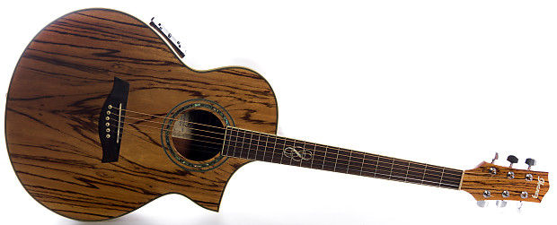 Ibanez ew20zwent top
