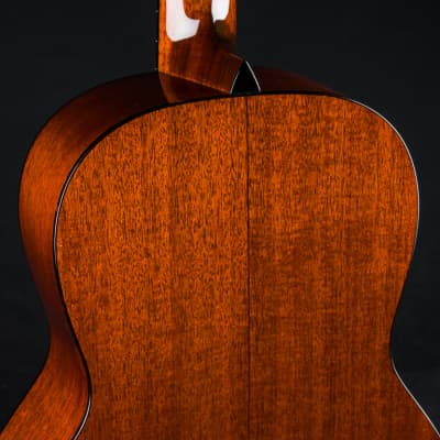 Collings 001 12-Fret All Mahogany NEW image 21