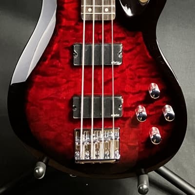 Schecter C-4 Plus 4-String Bass Guitar Quilted See-Thru Black Cherry image 1