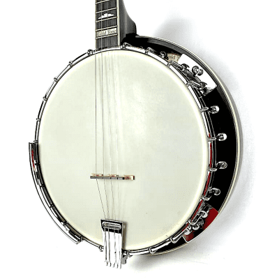 Gold Tone IT-250R 4-String  Irish Tenor Banjo w/ Resonator image 5