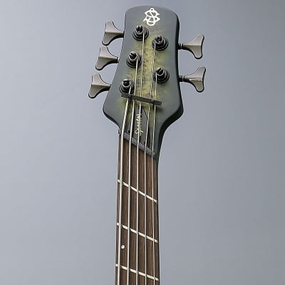 SPECTOR NS Dimension MS 5 (Haunted Moss) [Special price] image 5