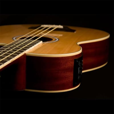 Washburn AB5K-A Acoustic-Electric Bass Guitar image 6