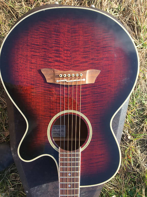 Takamine DSP 110 MD 1996 Mahogany burst | Reverb