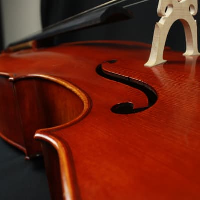 The Luthier Shop Adjusted 4/4 Size Beautiful Cello w/ Fiberglass Blue Case image 7