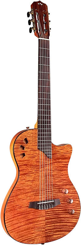 Cordoba Stage Amber - Semi Hollow Body Nylon String Acoustic Electric - 2023 image 1