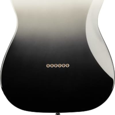 Fender Player Plus Telecaster Electric Guitar. Pau Ferro Fingerboard, Silver Smoke image 3