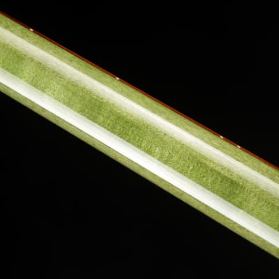 Spector NS-2 4 String Neck Thru Reclaimed Redwood - Tie Dye image 10