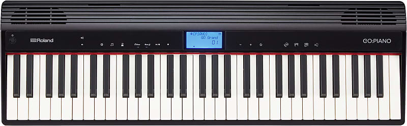 Roland GO-Piano 61 EXDEMO image 1
