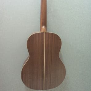 Kremona Artist Series Sofia SC-T Nylon String Classical Acoustic Guitar #2A image 7