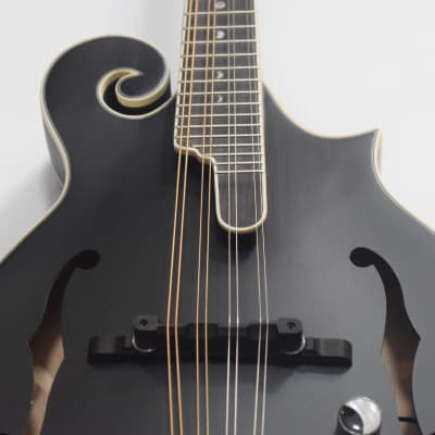 Luna Moonbird F-Style Acoustic-Electric Mandolin - Black Satin image 3