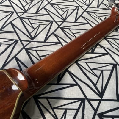 Segovia / TF-10 GN ” Tarvel Guitar “ image 13