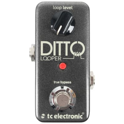 TC Electronic Ditto looper pedal image 1