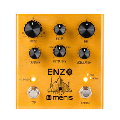 ギター meris Enzo meris Enzo コンパクトエフェクター マルチボイス