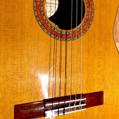 Thomas Rodriguez Classical Concert Guitar #177 2009 image 13