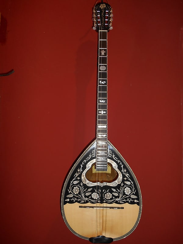 Greek Bouzouki professional & HARDCASE & 300 backing track 8 Reverb