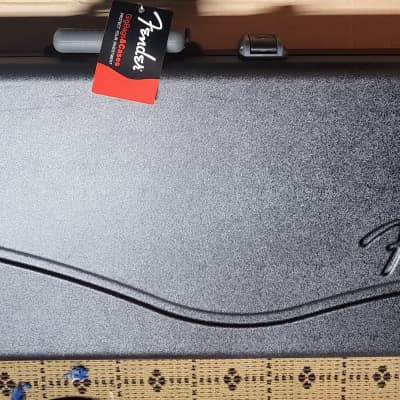 Fender 099-6102 Deluxe Molded Strat/Tele Case | Reverb