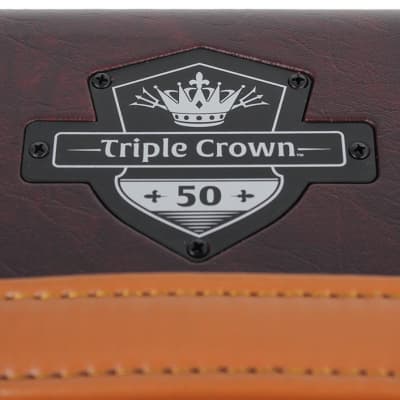 Mesa Boogie Triple Crown TC-50 Head - Wine Taurus image 6