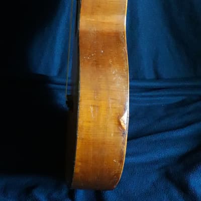 German parlor guitar (steel strings) 1880 image 7
