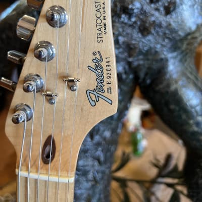 Fender Stratocaster Partscaster Build w/ Hard Shell Case image 8