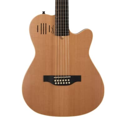 Godin A12 12-String Acoustic Electric Guitar image 1
