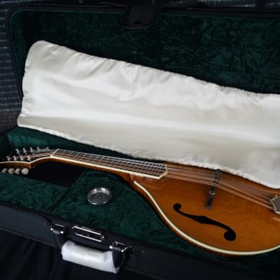 Brand New Bourgeois A Style Mandolin Model M5A Adi Top / Flamed Bosnian Maple ALL TORRIFIED image 20