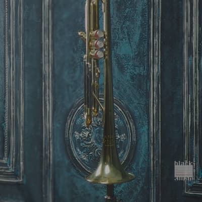 Blessing Scholastic Trumpet Bb Brass Elkhart USA image 1