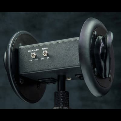 3Dio FS Pro II Binaural Microphone (ex. VAT) | Reverb Canada